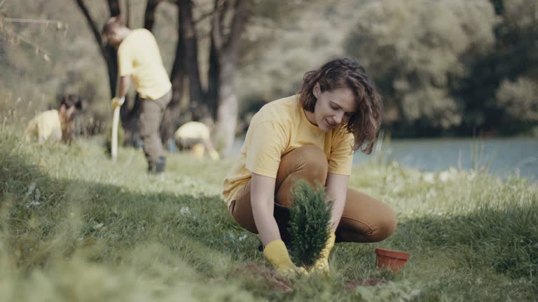 Best Tree Preservation Services  in Orlinda, TN